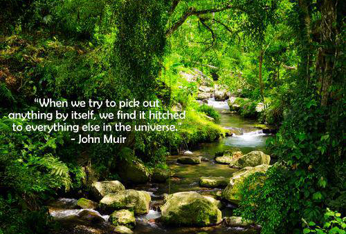 John Muir quote: When we try to pick out anything by itself, we find it hitched to everything else in the universe